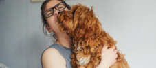 Pet Sitter - How to build a bond