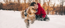Keep your pet safe in the cold