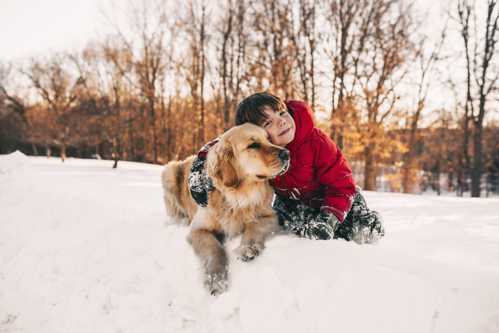 Portrait of a boy sitting in the snow with his golden retriever dog - how to keep your pet safe